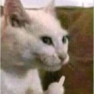 Meet your Posher, Karissa